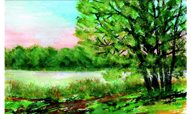 Am Schloßteich/Moritzburg