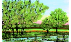 Dippelsdorfer Teich