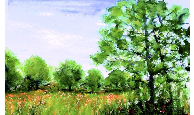 Am Auerweg/Friedewald