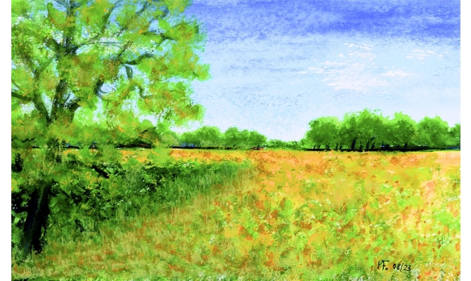 Sommerfeld/Friedewald
