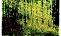 Sonnenstrahlen im Wald/Friedewald
