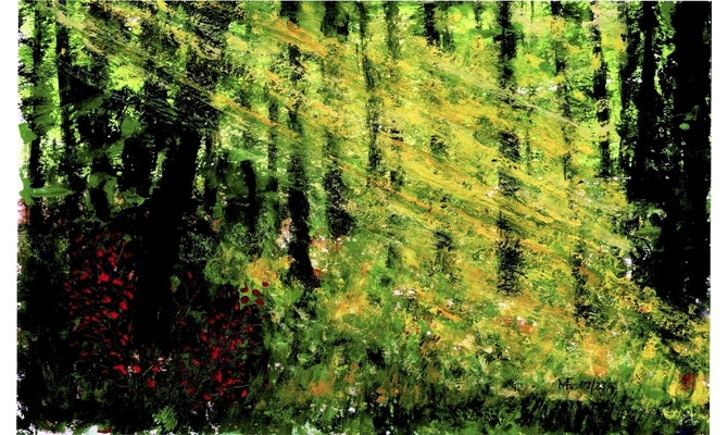Sonnenstrahlen im Wald/Friedewald