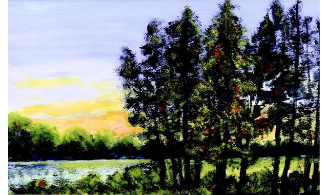 Großteich am Abend/Moritzburg