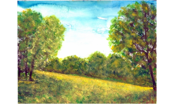 Abendsonne am Kuckucksweg, Friedewald