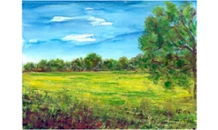 Friedewald, Löwenzahnwiese