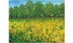 Friedewald, Wiese am Auerweg
