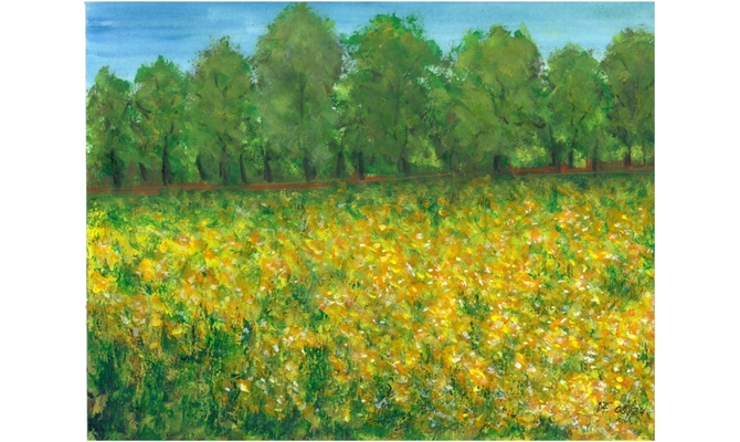 Friedewald, Wiese am Auerweg