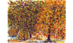 Herbst in Friedewald