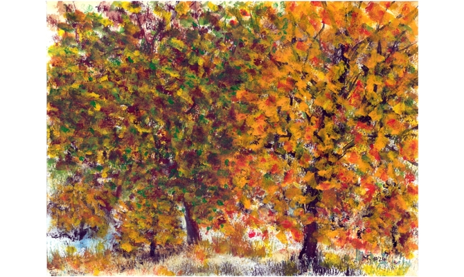 Herbst in Friedewald